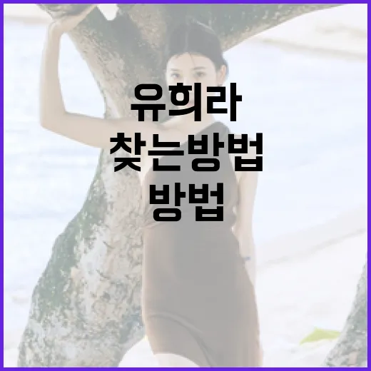 유희라를 통해 재미와 여유를 찾는 방법 - 요약