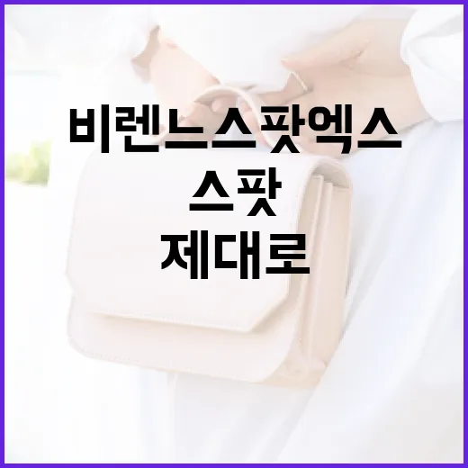비렌느 스팟 엑스 제대로 활용하는 방법 - 요약