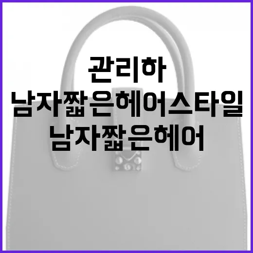 남자 짧은 헤어스타일, 이렇게 관리하면 좋다 - 요약