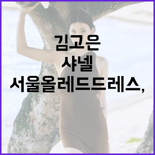 김고은이 선택한 샤넬의 서울 올레드 드레스, 그 비하인드 스토리 - 요약