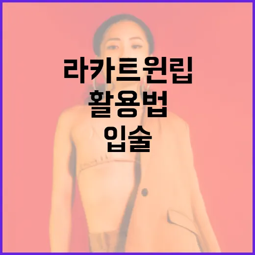 라카 트윈립 활용법: 자연스러운 입술 메이크업 완성하기 - 요약