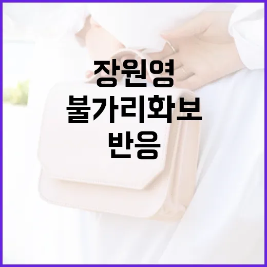 장원영의 불가리 화보, 폭발적인 반응의 비밀 - 요약