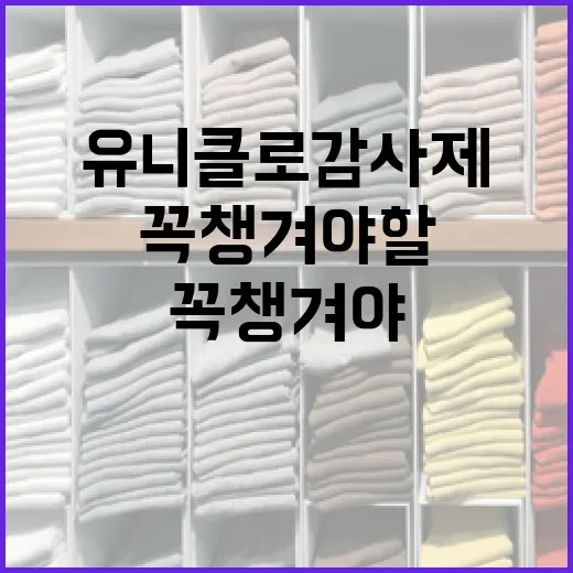 유니클로 감사제에서 꼭 챙겨야 할 아이템 고르는 방법 - 요약