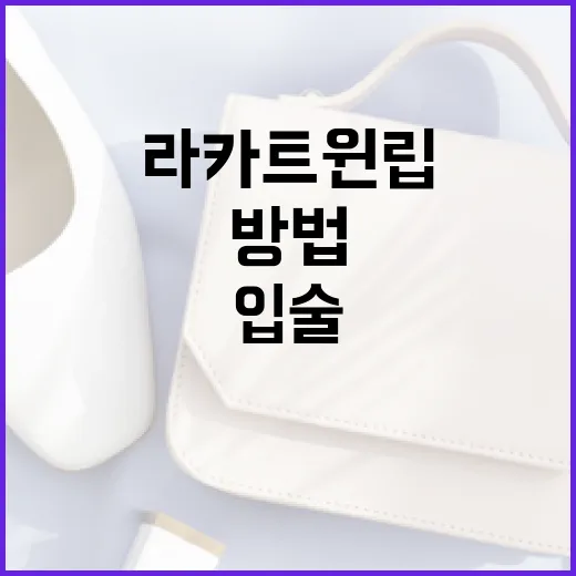 라카 트윈립으로 입술에 생기를 더하는 방법 - 요약