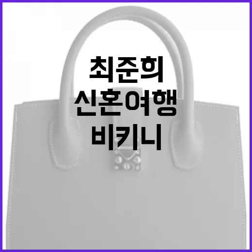 최준희의 신혼여행:…