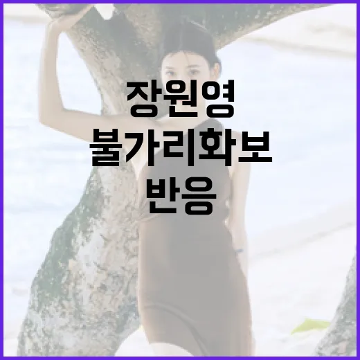 장원영의 불가리 화보, 왜 이렇게 뜨거운 반응을? - 요약