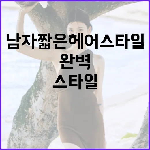 남자 짧은 헤어 스타일을 완벽하게 소화하는 방법 - 요약