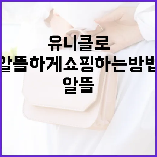 유니클로에서 알뜰하게 쇼핑하는 방법 - 요약