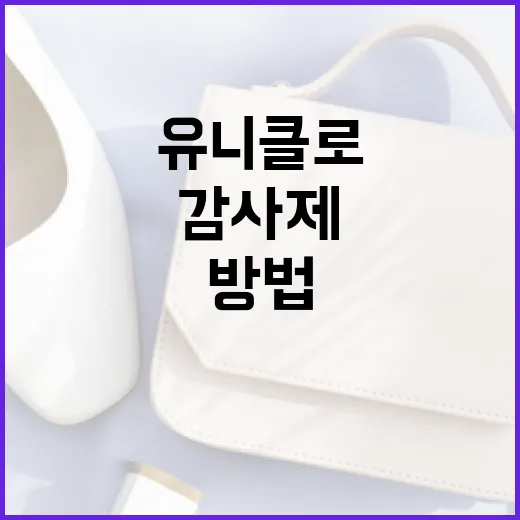 유니클로 감사제를 최대한 활용하는 방법 - 요약
