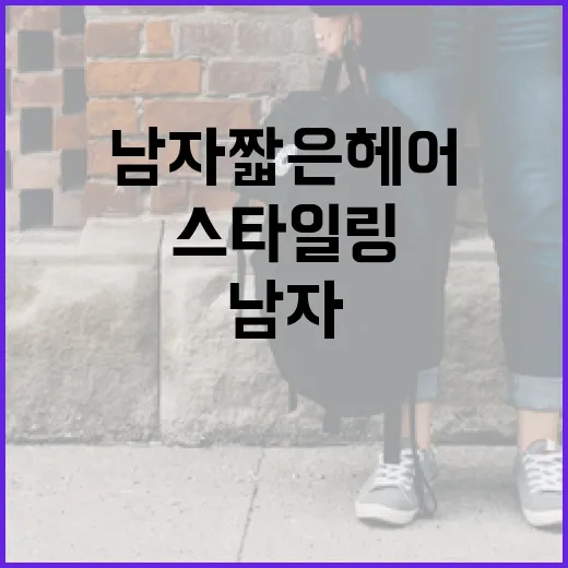 남자 짧은 헤어 스타일링 완벽 가이드 - 요약