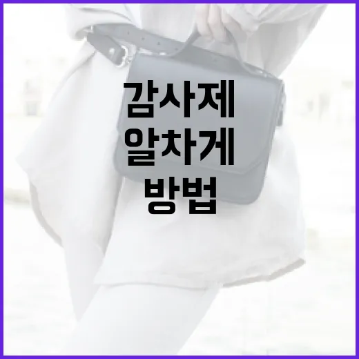 유니클로 감사제를 알차게 즐기는 방법 - 요약