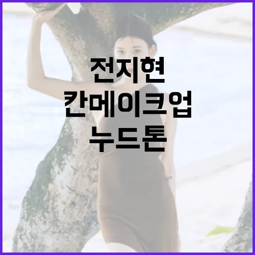 전지현의 칸 메이크업, 누드톤으로 완성하는 방법 - 요약