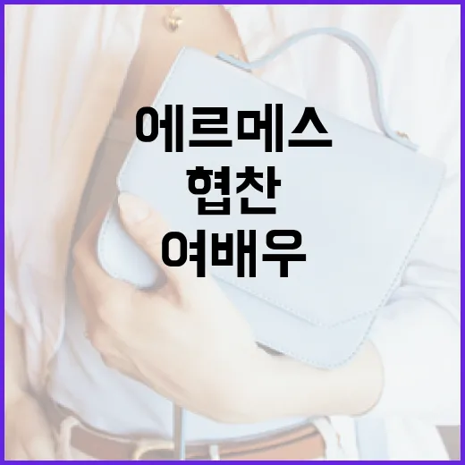 에르메스 협찬받은 여배우들의 스타일 따라잡기 - 요약