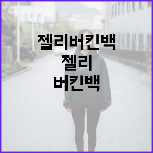젤리 버킨백: 스타일과 재미를 동시에 잡는 방법 - 요약