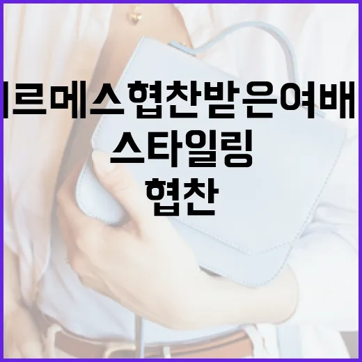 에르메스 협찬 받은 여배우, 그들의 스타일링 비법 - 요약