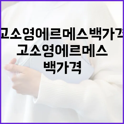 고소영 에르메스 백 가격 알아보기: 스타일과 가치를 함께 - 요약