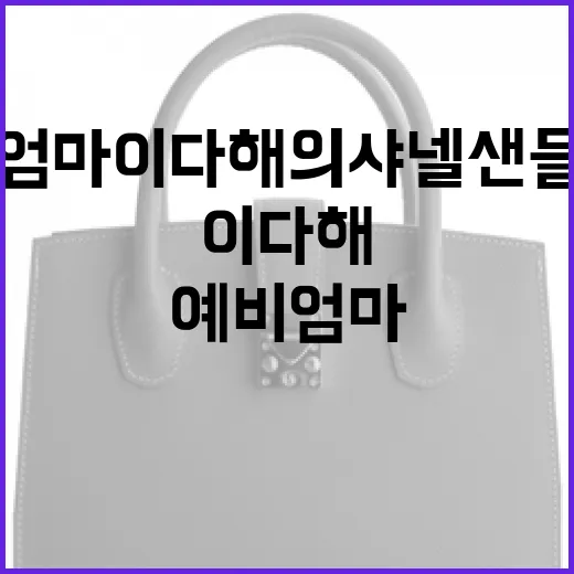 예비엄마 이다해의 샤넬 샌들 코디 비법 - 요약