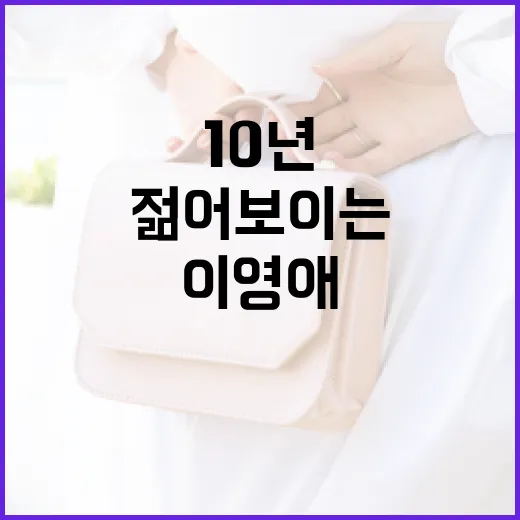 이영애처럼 뉴욕에서 10년 젊어 보이는 피크닉룩 연출하기 - 요약