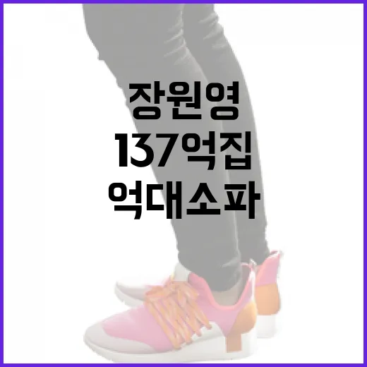 장원영의 137억 집과 억대 소파, 그 화제의 중심! - 요약