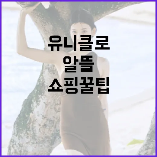 유니클로 쇼핑 꿀팁: 알뜰하게 쇼핑하는 방법 - 요약