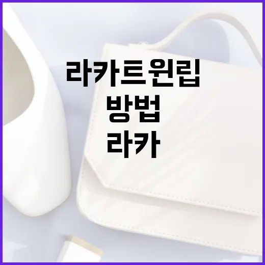 라카 트윈립으로 완벽한 립 메이크업 연출하는 방법 - 요약