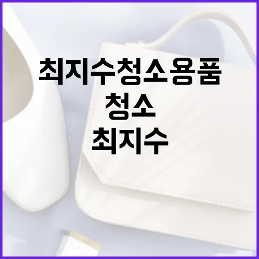최지수 청소용품으로 집안일이 쉬워지는 방법 - 요약