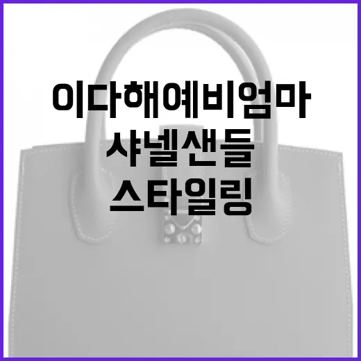 이다해 예비엄마의 샤넬 샌들 스타일링 비법 - 요약