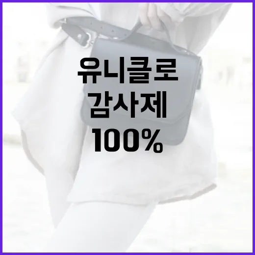 유니클로 감사제를 100% 활용하는 방법 - 요약