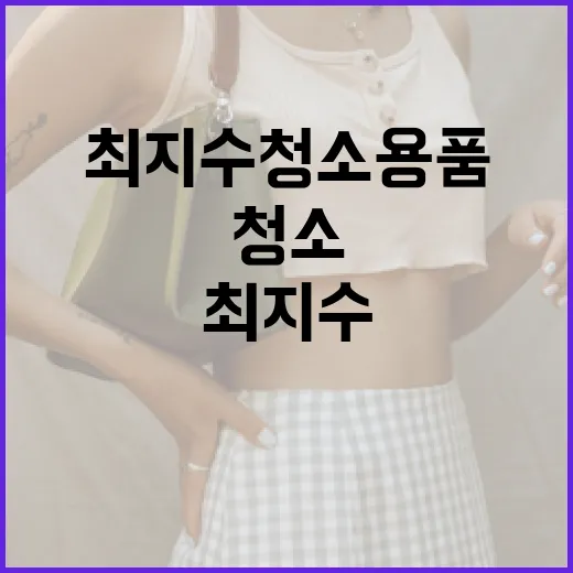 최지수 청소용품으로 깔끔한 집안 만들기 비법 - 요약