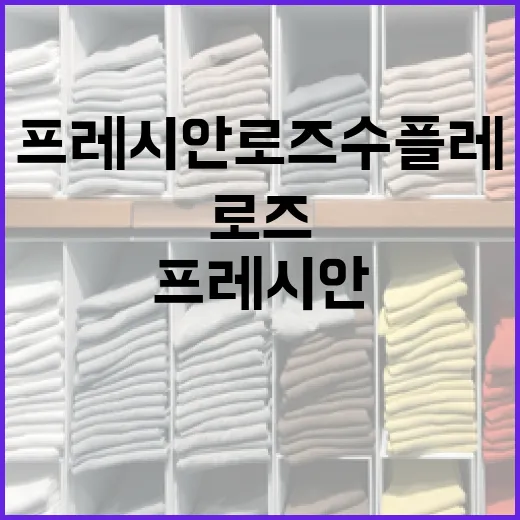 프레시안 로즈수플레 즐기는 방법 - 요약