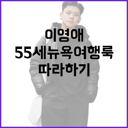 이영애처럼: 55세 뉴욕 여행룩 따라하기 - 요약