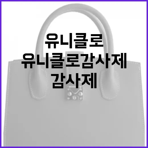 유니클로 감사제를 알차게 즐기는 방법 - 요약