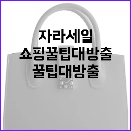 자라 세일에서 득템하는 방법: 쇼핑 꿀팁 대방출 - 요약