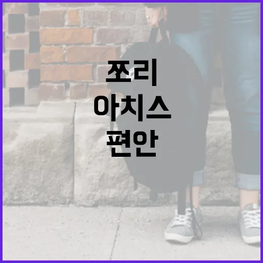 편안하고 스타일리시한 아치스 쪼리의 매력 알아보기 - 요약