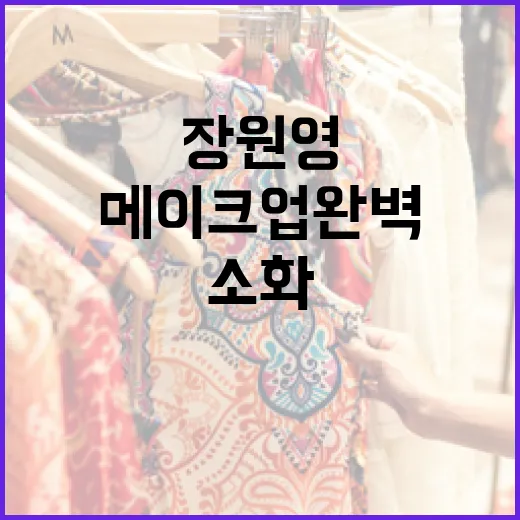 장원영처럼 청초한 메이크업 완벽하게 소화하는 방법 - 요약