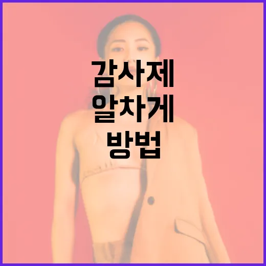 유니클로 감사제를 알차게 활용하는 방법 - 요약