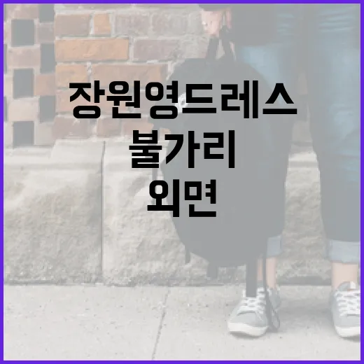 장원영 드레스 이슈와 불가리가 외면받는 이유 - 요약