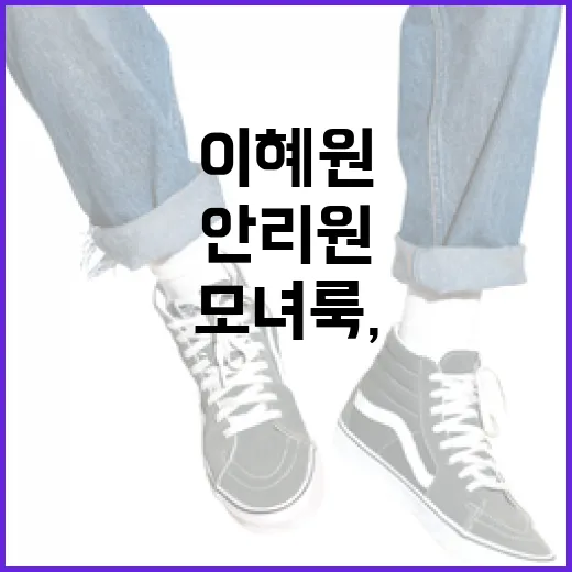 이혜원과 안리원의 모녀룩, 이렇게 완성해보세요! - 요약