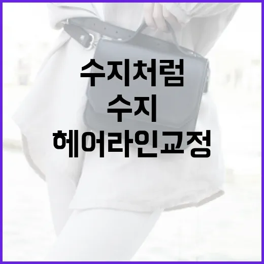 수지처럼 헤어라인 교정하는 비법, 이렇게 바꿔보세요! - 요약