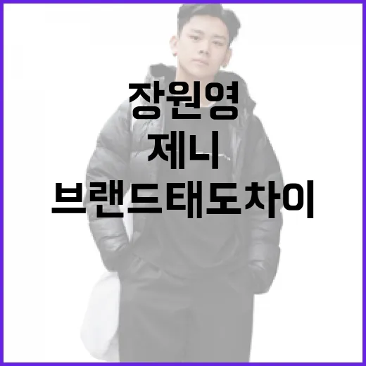 장원영과 제니: 브랜드 태도 차이를 이해하는 방법 - 요약