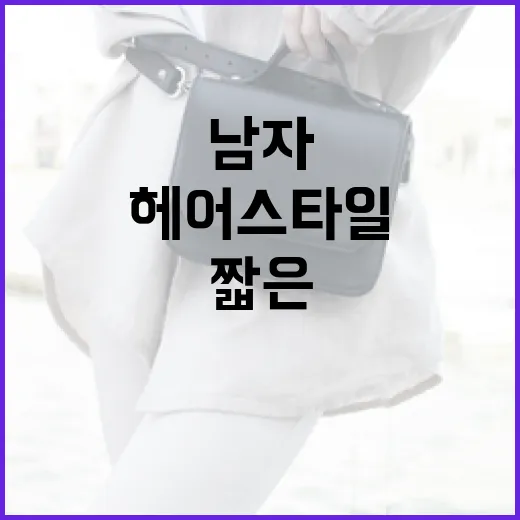 남자 짧은 헤어스타일, 이렇게 선택하세요! - 요약