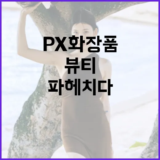 PX 화장품, 군인들의 뷰티 비밀을 파헤치다 - 요약