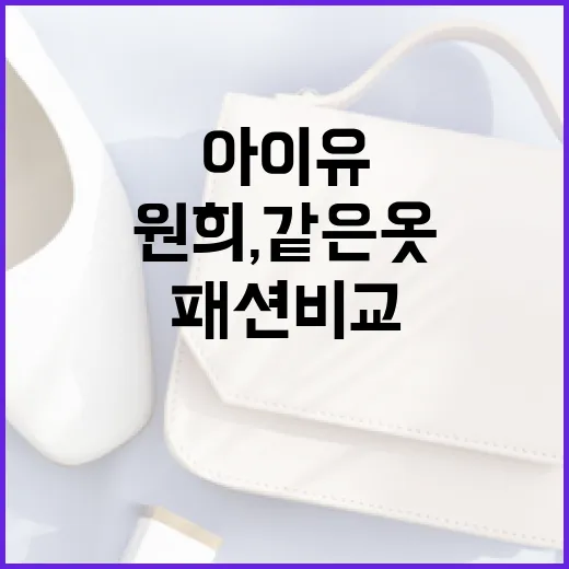 아이유와 원희, 같은 옷 다른 느낌의 패션 비교 - 요약