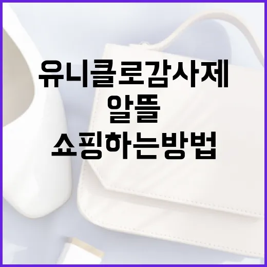 유니클로 감사제에서 알뜰 쇼핑하는 방법 - 요약