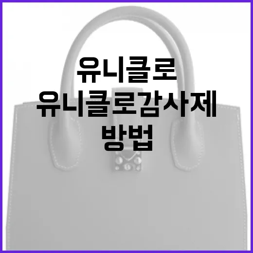 유니클로 감사제 최대한 활용하는 방법 - 요약