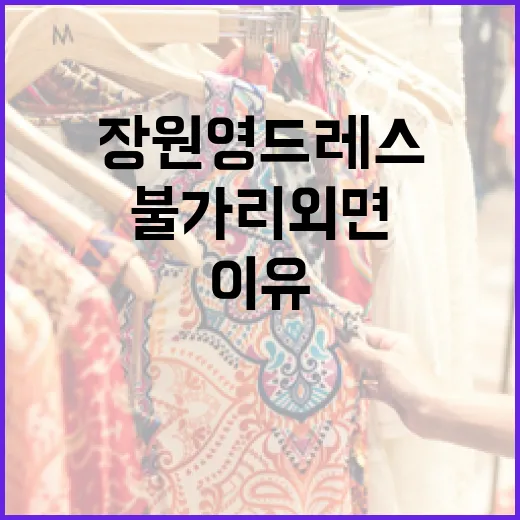 장원영 드레스와 불가리 외면의 진짜 이유 알아보기 - 요약