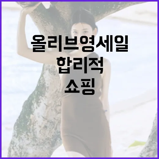 올리브영 세일에서 합리적으로 쇼핑하는 방법 - 요약
