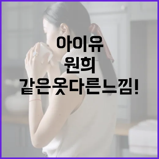 아이유와 원희, 같은 옷 다른 느낌! 스타일 비교하기 - 요약