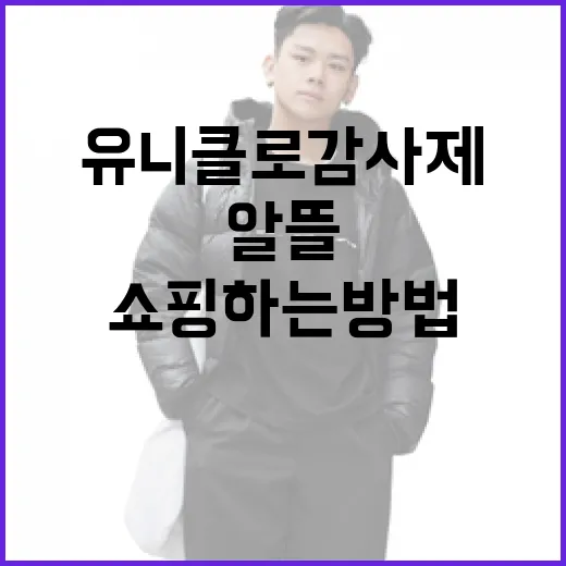 유니클로 감사제에서 알뜰 쇼핑하는 방법 - 요약