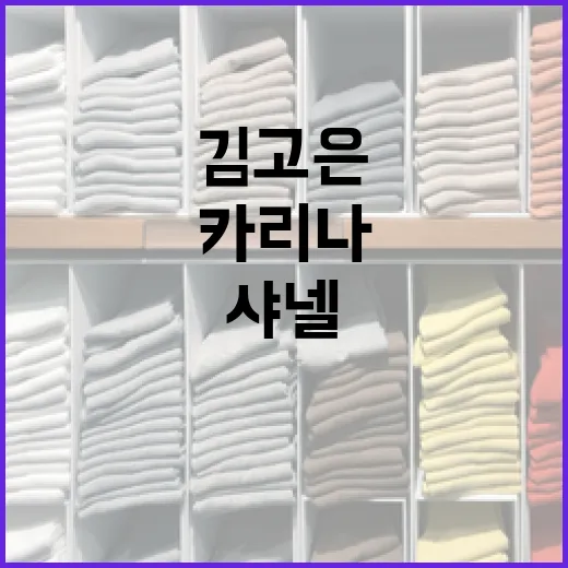 김고은과 카리나의 샤넬 스타일 비교하기 - 요약